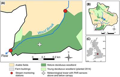High-Frequency Monitoring Reveals Multiple Frequencies of Nitrogen and Carbon Mass Balance Dynamics in a Headwater Stream
